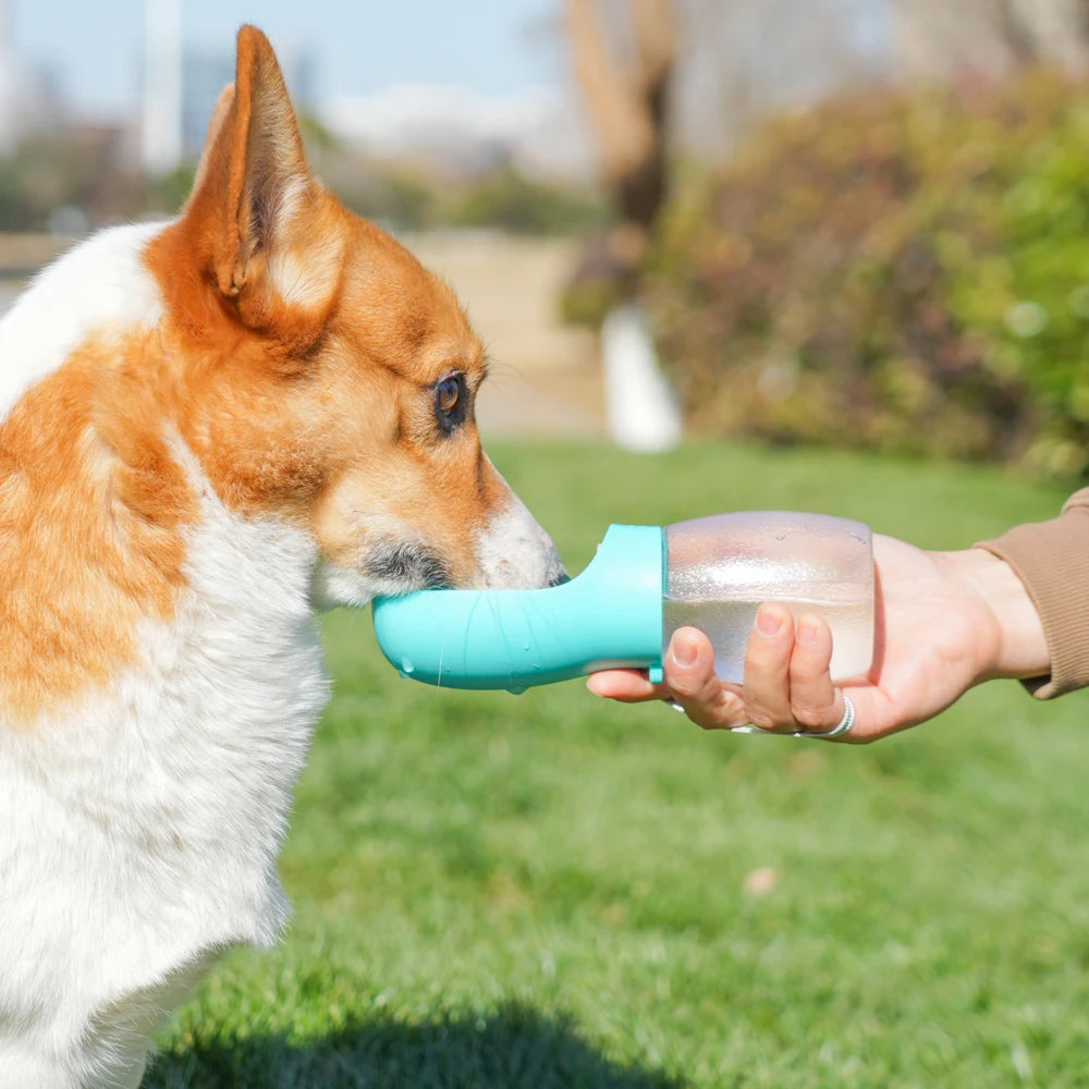 Portable Leak-Proof Pet Water Dispenser