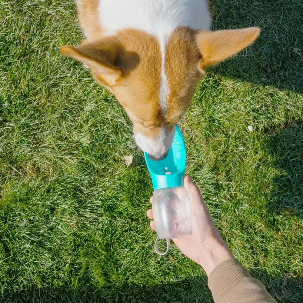 Portable Leak-Proof Pet Water Dispenser